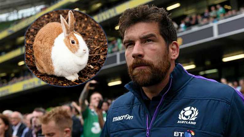 Jim Hamilton Reveals The Gruesome Way Scotland Prepared For The 2015 Rugby World Cup