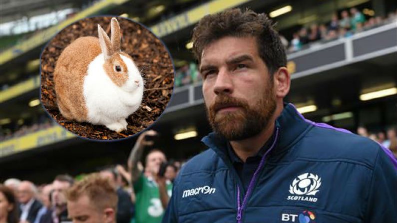 Jim Hamilton Reveals The Gruesome Way Scotland Prepared For The 2015 Rugby World Cup