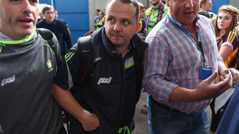 Reports: Davy Fitzgerald To Step Down As Manager Of The Clare Hurlers