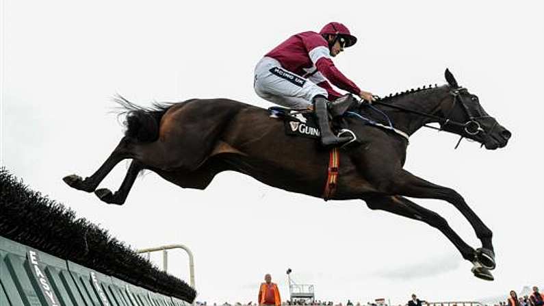 Remarkably, A Horse Named Stand Up And Fight Won The 2.30 At Punchestown Today