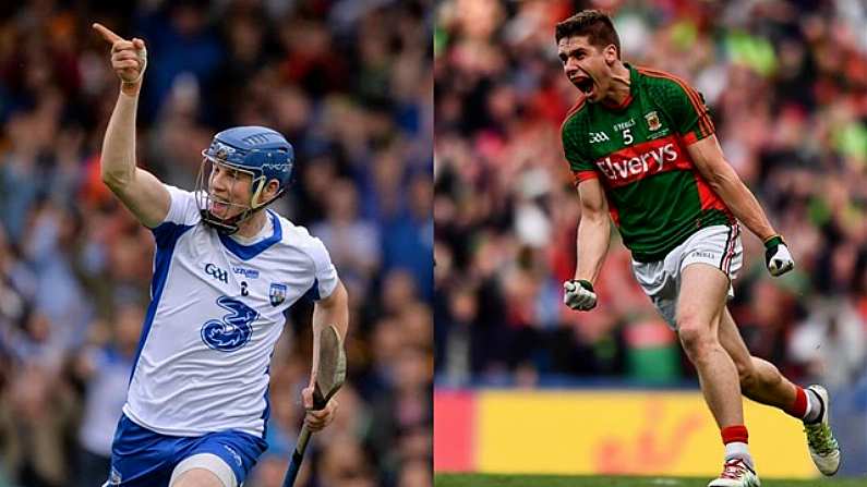 The Hurler And Footballer Of The Year Have Been Named