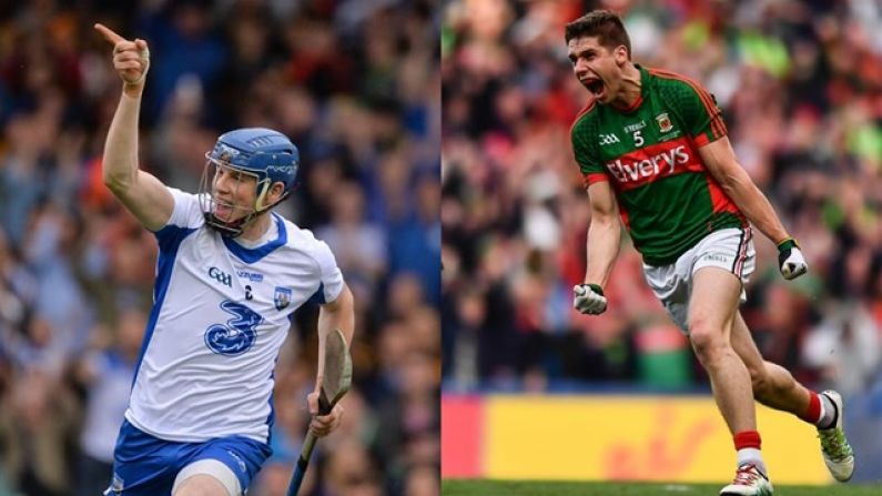 The Hurler And Footballer Of The Year Have Been Named