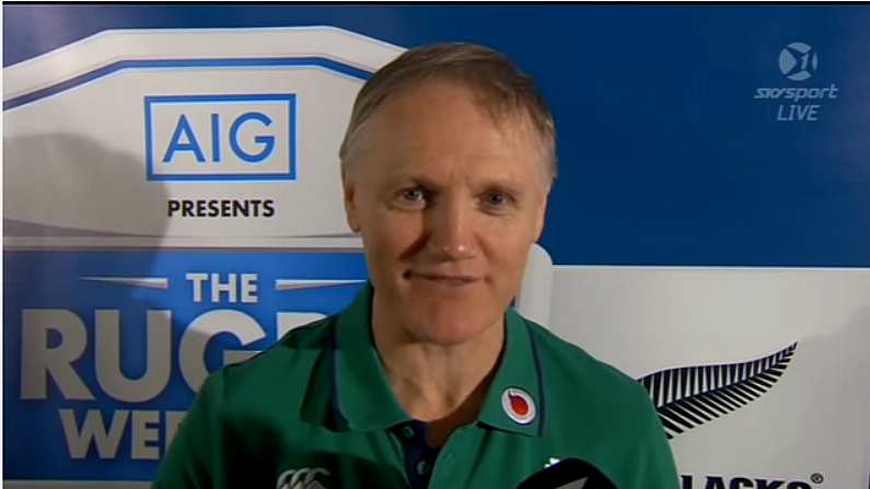 Watch: Joe Schmidt Apologises To His Mother For Beating The All Blacks