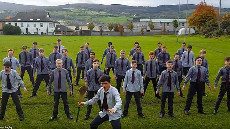 Watch: Clonmel School Perform Hair-Raising, Hurl-Led Haka To Welcome NZ Maoris