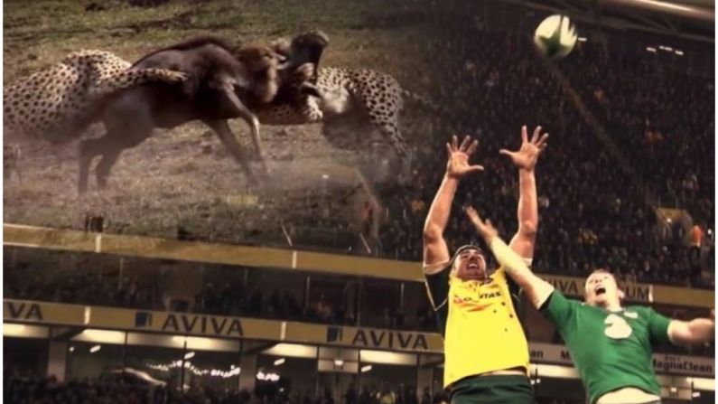 Watch: RTE's Epic Ireland v Australia Promo Video Will Get You Pumped To The Rafters