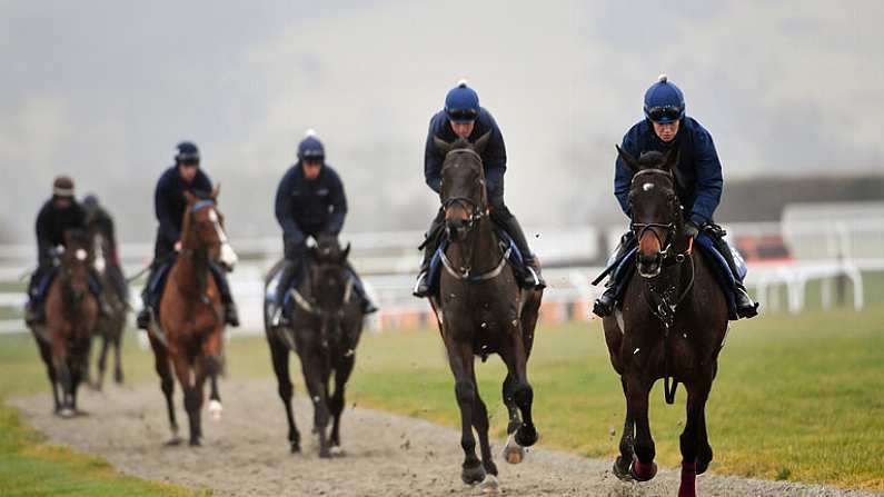 12 March 2018; Apple's Jade, with Lisa O'Neill up, on the gallops ahead of the Cheltenham Racing Festival at Prestbury Park in Cheltenham, England. Photo by Ramsey Cardy/Sportsfile