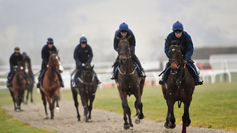 Balls.ie's Cheltenham Tipster: Petit Mouchoir And Rathvinden Are Today's Smart Tips