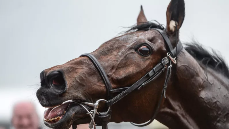 Balls.ie's Cheltenham Tipster: Back Supasundae And A Spicy Double