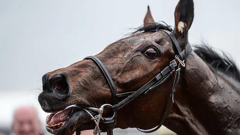 16 March 2017; Horse Un De Sceaux after winning the Ryanair Steeple Chase during the Cheltenham Racing Festival at Prestbury Park in Cheltenham, England. Photo by Seb Daly/Sportsfile