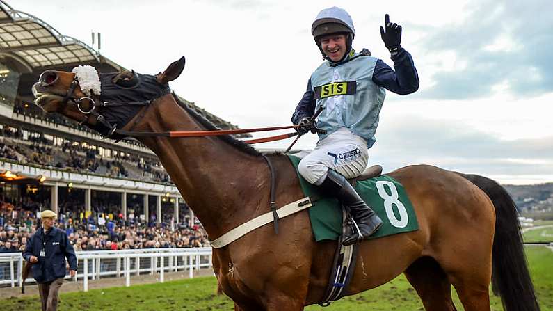 15 March 2018; Jockey Noel McParlan celebrates after winning the Fulke Walwyn Kim Muir Challenge Cup Handicap Steeple Chase on Missed Approach on Day Three of the Cheltenham Racing Festival at Prestbury Park in Cheltenham, England. Photo by Seb Daly/Sportsfile