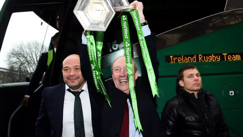 In Pictures: Shane Ross Really Enjoyed Ireland's Victorious Homecoming