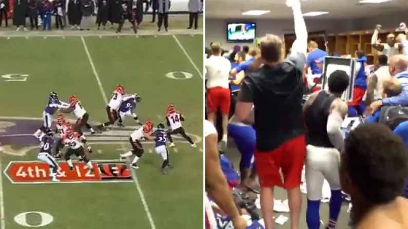 Buffalo Bills Fans Return Favour To Andy Dalton After Miracle Touchdown