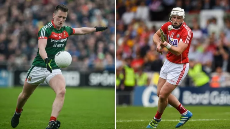 Different Codes But The Same Buzz: O'Connor And Horgan Relish Being Free Takers