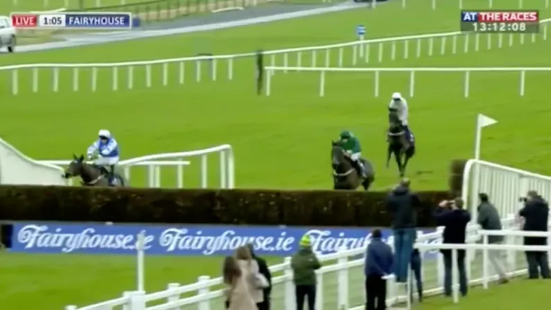 How Did This Horse Still Win After Last Fence Calamity At Fairyhouse?