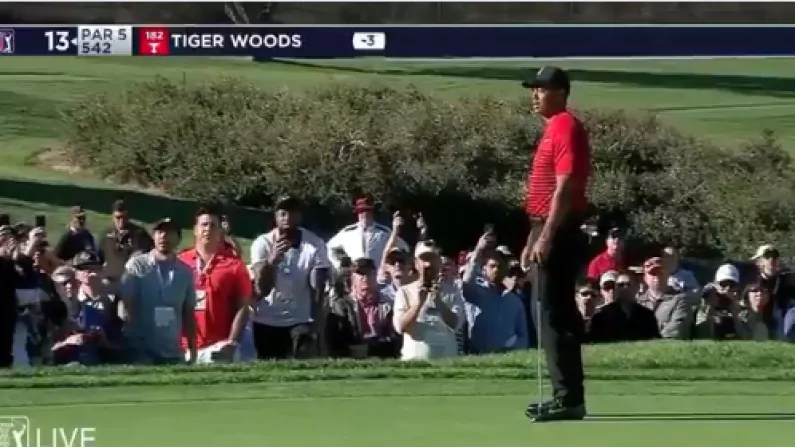 Watch: "Uncool" Spectator Shouts Out As Tiger Woods Is About To Putt