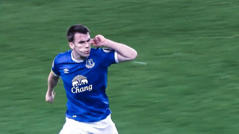 Seamus Coleman Came Back, And Instantly Showed Us All What We Missed