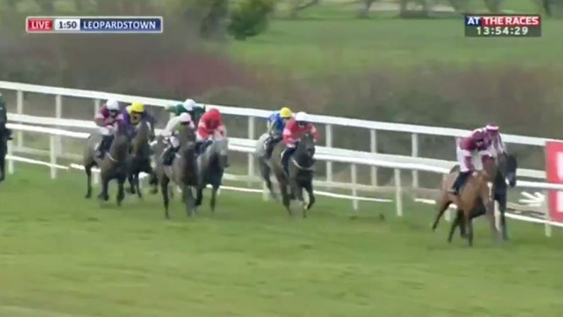 Watch: Samcro Lives Up To The Hype With Grade 1 Leopardstown Win