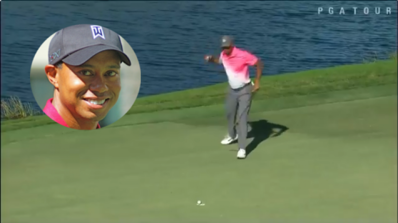 Watch: Tiger Woods Showing Traces Of The Old Magic At Honda Classic