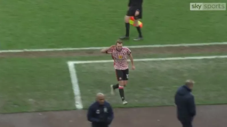 Callum McManaman Really Made Sure Tony Pulis Knew Who'd Scored 96th Minute Equaliser