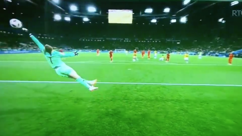 Watch: World Class Jordan Pickford Save That No One Got To See