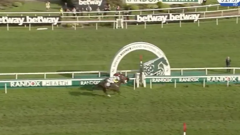 Watch: Thrilling Photo Finish In Grand National As Tiger Roll Nicks It