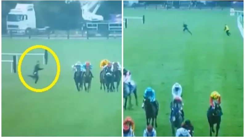 Watch: Stewards Chasing Students Steals The Show At Leopardstown