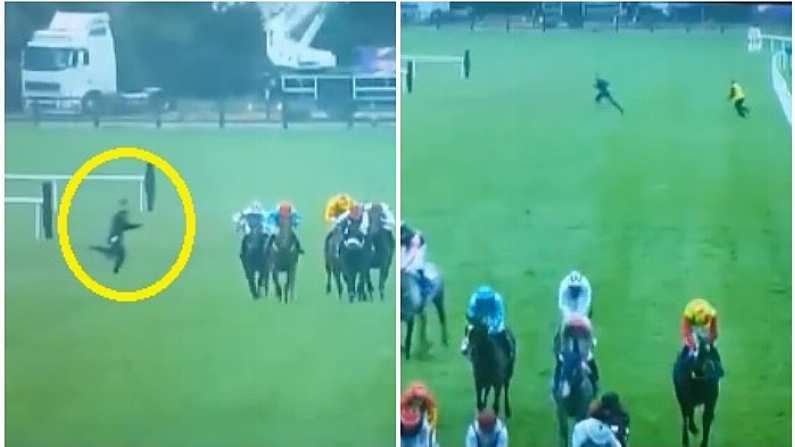 Watch: Stewards Chasing Students Steals The Show At Leopardstown