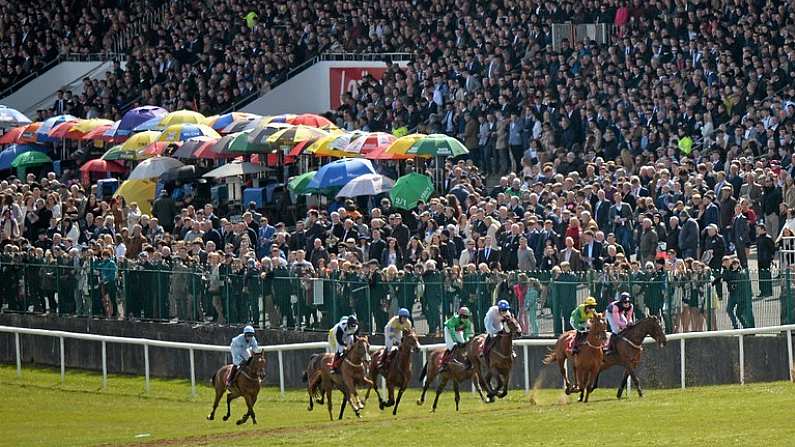 29 April 2016; A general view of runners and riders in the KFM Hunters Steeplechase for Bishopscourt Cup. Punchestown, Co. Kildare. Picture credit: Cody Glenn / SPORTSFILE