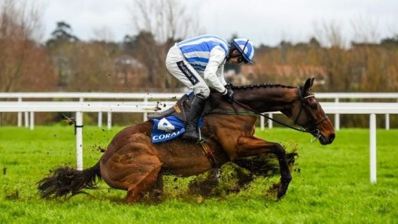 Two Tasty Tips For Day 2 Of Punchestown