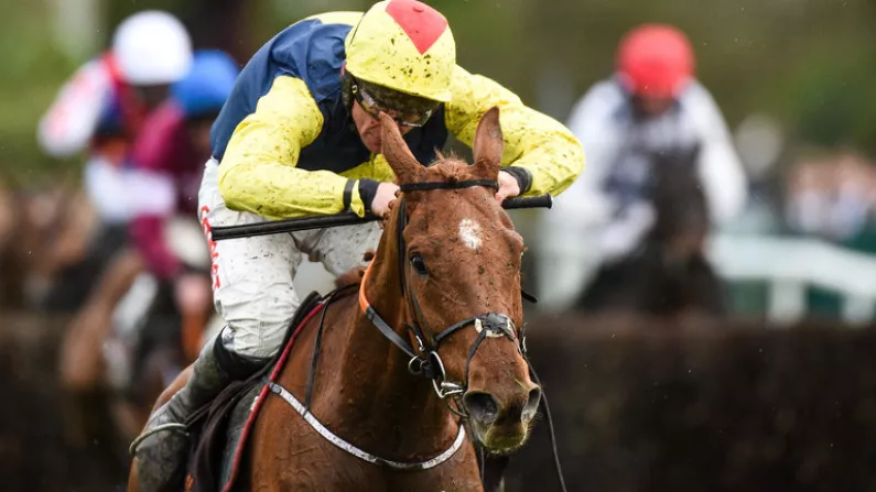 Our Red-Hot Tipster's Picks For Day 4 At Punchestown