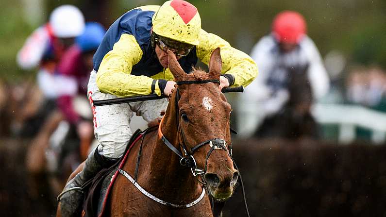 24 April 2018; The Storyteller, with Davy Russell up, after jumping the last on their way to winning The Growise Champion Novice Steeplechase at Punchestown Racecourse in Naas, Co. Kildare. Photo by Matt Browne/Sportsfile