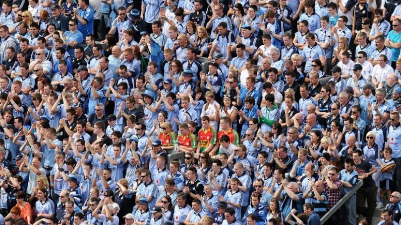 The Balls.ie Photo Tribute To Carlow GAA Fans