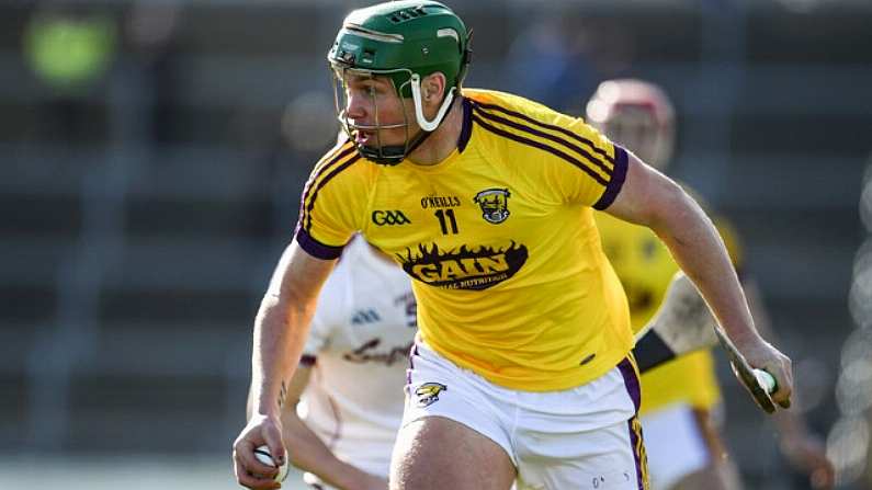 Wexford Hurler's New Business Venture Starting To Flourish In Gorey