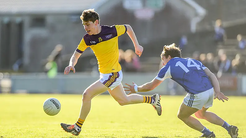 Taking The Point On A Late Penalty Proved Crucial In Wexford vs Laois