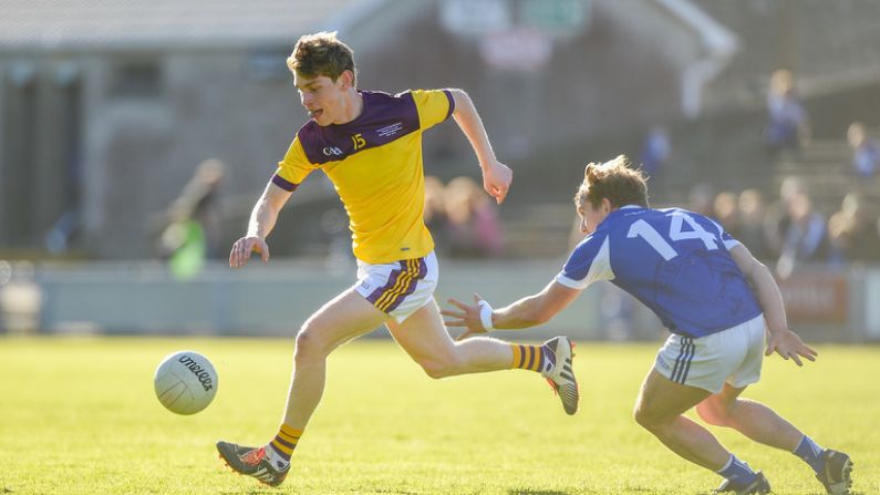 Taking The Point On A Late Penalty Proved Crucial In Wexford vs Laois