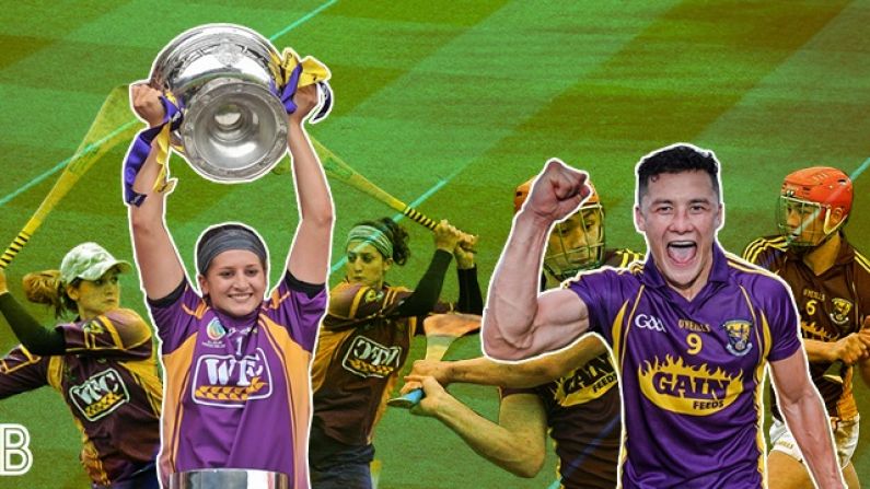 Lee Chin Hails Mags D'Arcy's Impact On The Wexford Hurlers