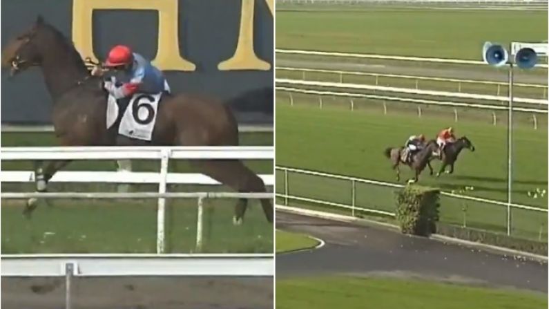 Watch: Jockey Pulls Off Miracle Recovery After Falling At The First Hurdle