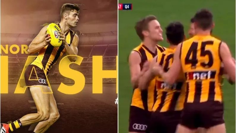 'This Dude Is Good' - Irish Conor Nash Praised After Promising AFL Debut