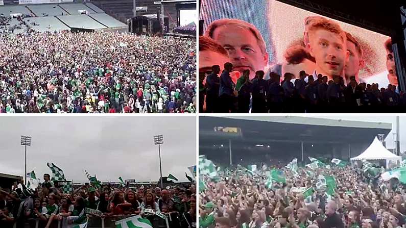 Watch: Joyous Scenes As Limerick Bring Liam MacCarthy Home