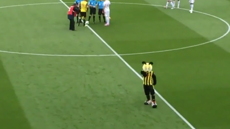 Watford Mascot 'Harry The Hornet' Mocks Zaha Once Again