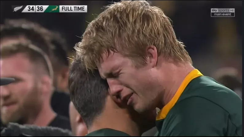 All Blacks Arrogance Costs Them In Stunning Defeat To South Africa