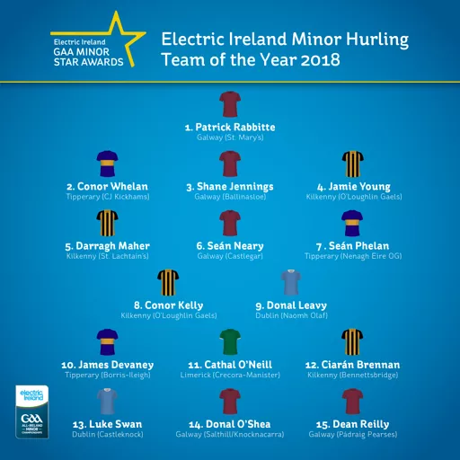 Electric Ireland Minor Hurling team of the year