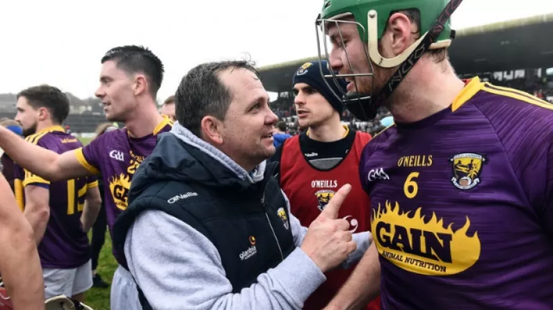 Wexford Players' Gesture To Davy Fitz Made Staying On No-Brainer