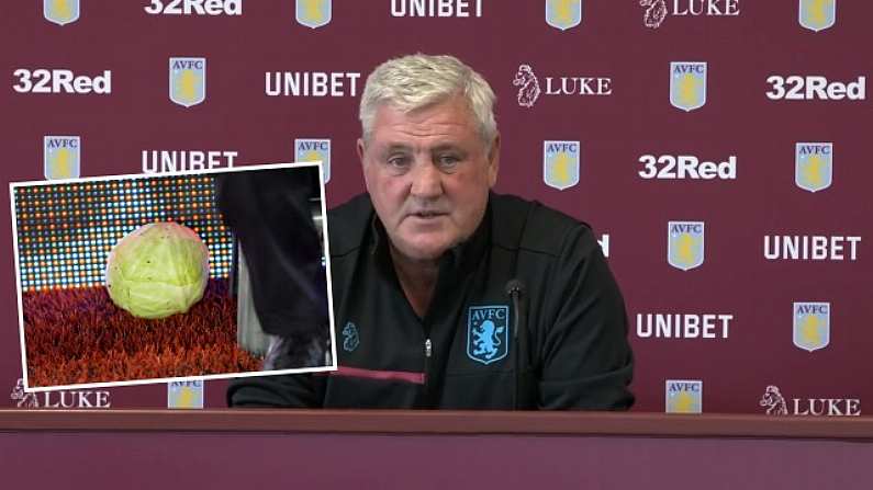 Steve Bruce: Cabbage Incident Sums Up Society We Live In