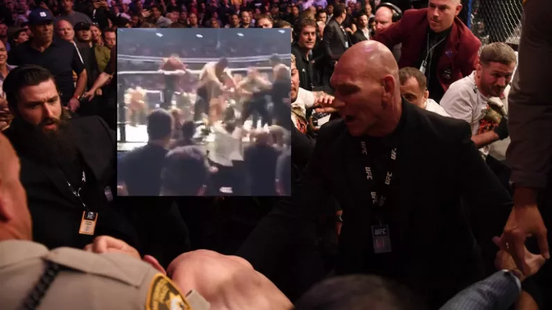 New Fan Footage Of Khabib Cage Leap Is Absolutely Terrifying