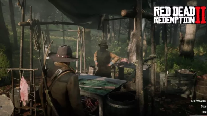 jernbane Akvarium aritmetik Where Are The Red Dead Redemption 2 Trapper Locations? | Balls.ie