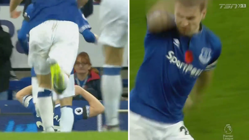 Seamus Coleman Gives It To His Own Fans After Scoring Smashing Goal