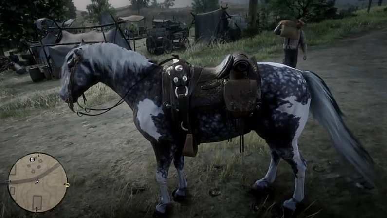 Where To Get Missouri Fox Trotter In Red Dead Redemption 2?