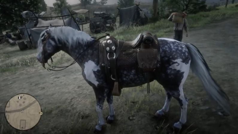 Where To Get Missouri Fox Trotter In Red Dead Redemption 2?