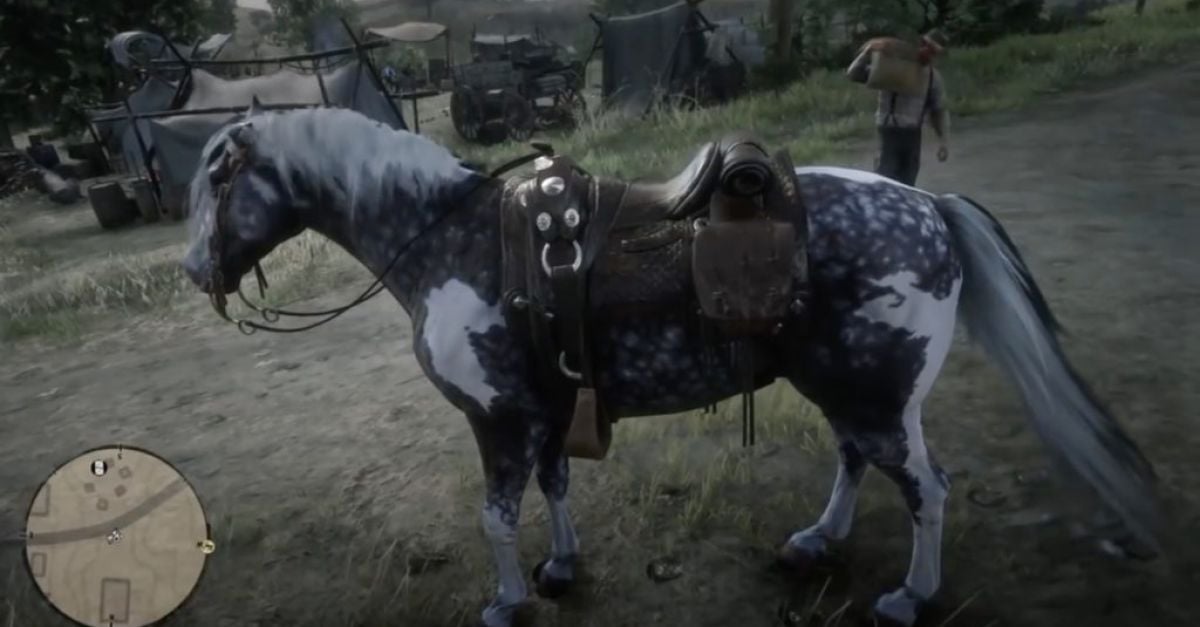 Where To Get Missouri Trotter In Red Redemption 2? | Balls.ie